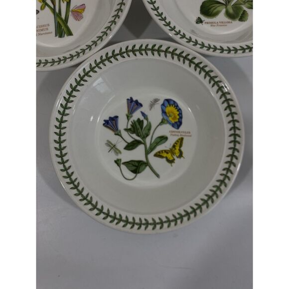 3 PORTMEIRION BOTANIC GARDEN 8 1/2" Rimmed Soup/Pasta Bowls Assorted - Picture 2 of 10